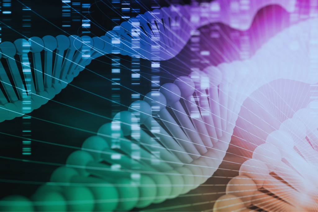 Software Development for Life Sciences - Holisticon Connect