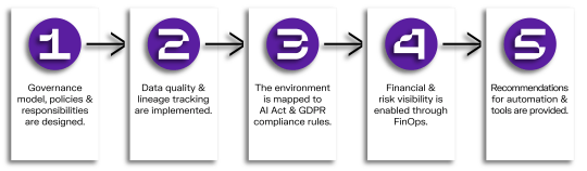 Holisticon Insight - Data Governance - How it Works Diagram